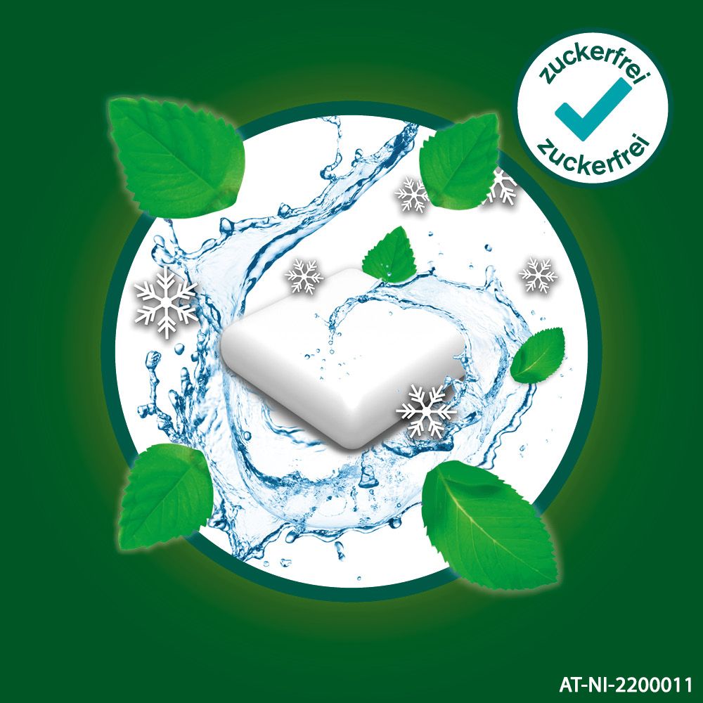 Kaugummi-Abbildung mit Wasser, Minzblättern und Schneeflocken. Text: zuckerfrei. Grüner Hintergrund.