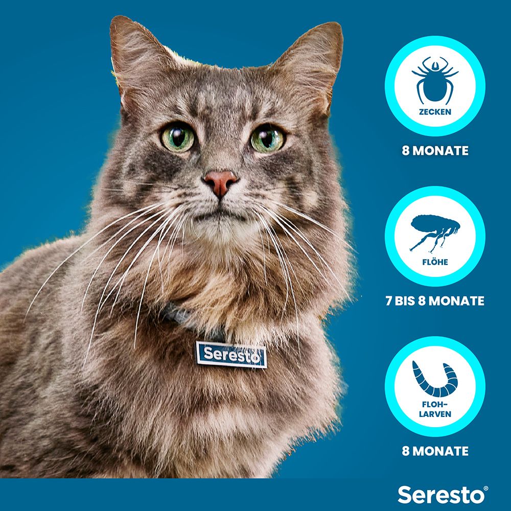 Katze mit Halsband. Text: 8 Monate gegen Zecken, 7-8 Monate gegen Flöhe, 8 Monate gegen Flohlarven. Marke Seresto.