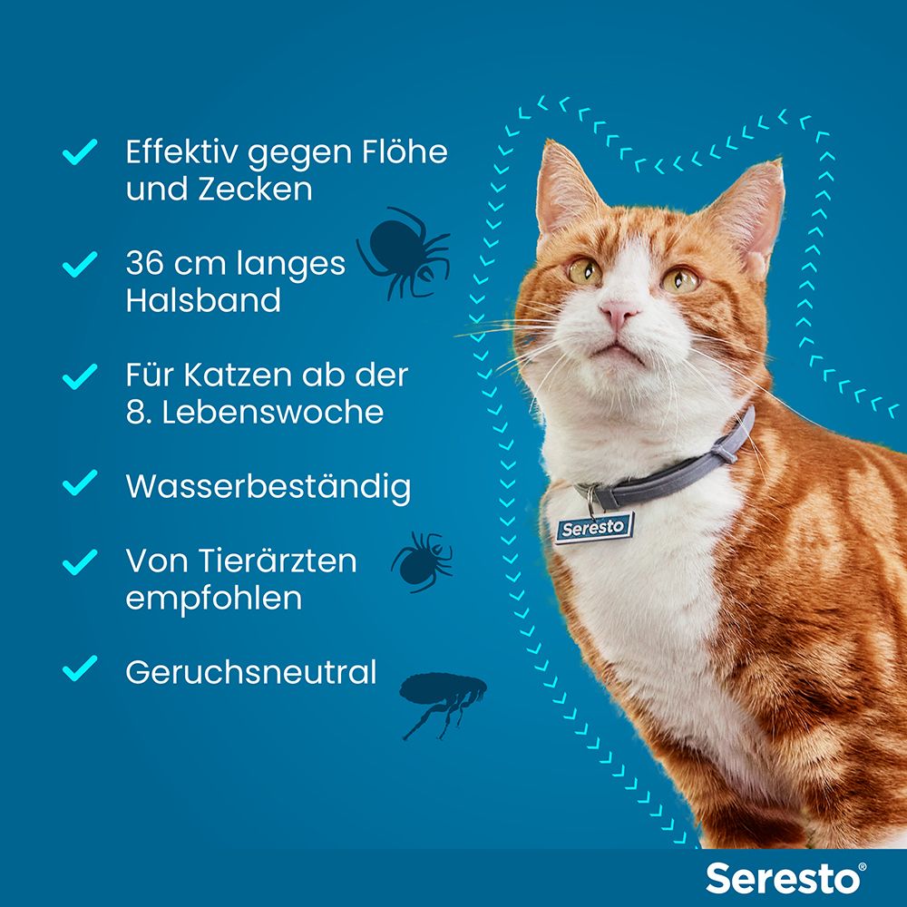 Katze mit Halsband. Text: Wirksam gegen Flöhe und Zecken, 36 cm Halsband, für Katzen ab 8 Wochen, wasserbeständig.