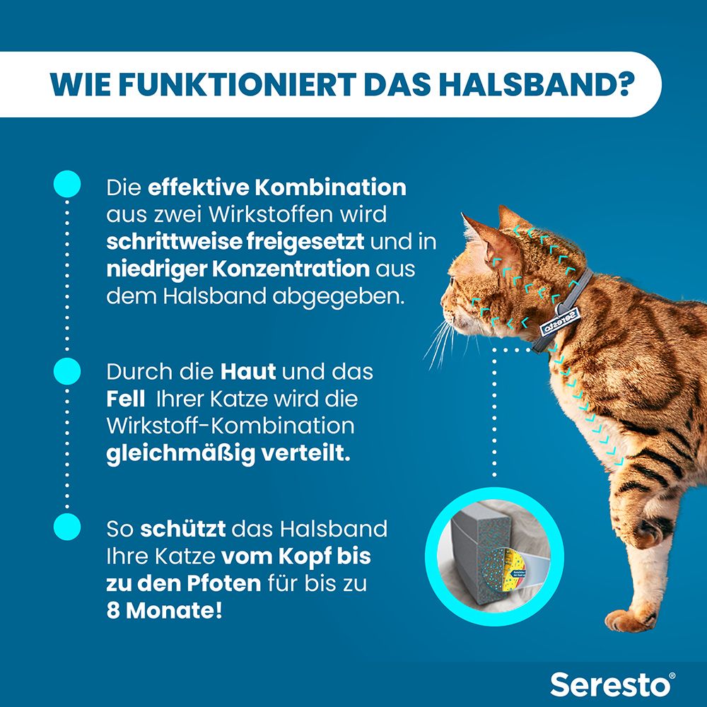 Katze mit Halsband. Text: Wirkstoffe werden freigesetzt, gleichmäßige Verteilung, Schutz von Kopf bis Pfoten bis zu 8 Monaten.