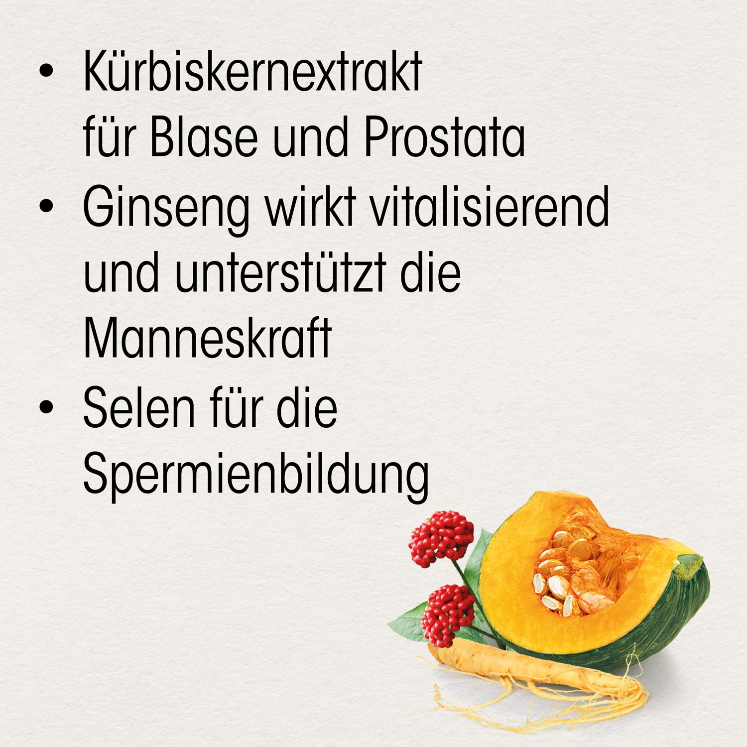 Text mit Aufzählungspunkten: Kürbiskernextrakt, Ginseng, Selen. Abbildung von Kürbis, Ginsengwurzel und Beeren.