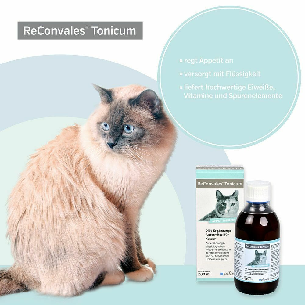 ReConvales® Tonicum für Katzen