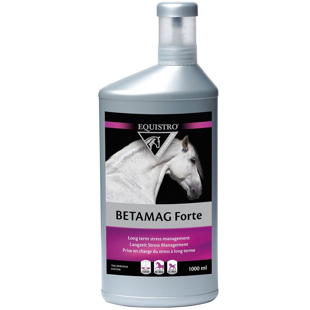 Flasche mit Produktetikett. Aufschrift: EQUISTRO, BETAMAG Forte. Abbildung eines Pferdekopfes. Volumen: 1000 ml.