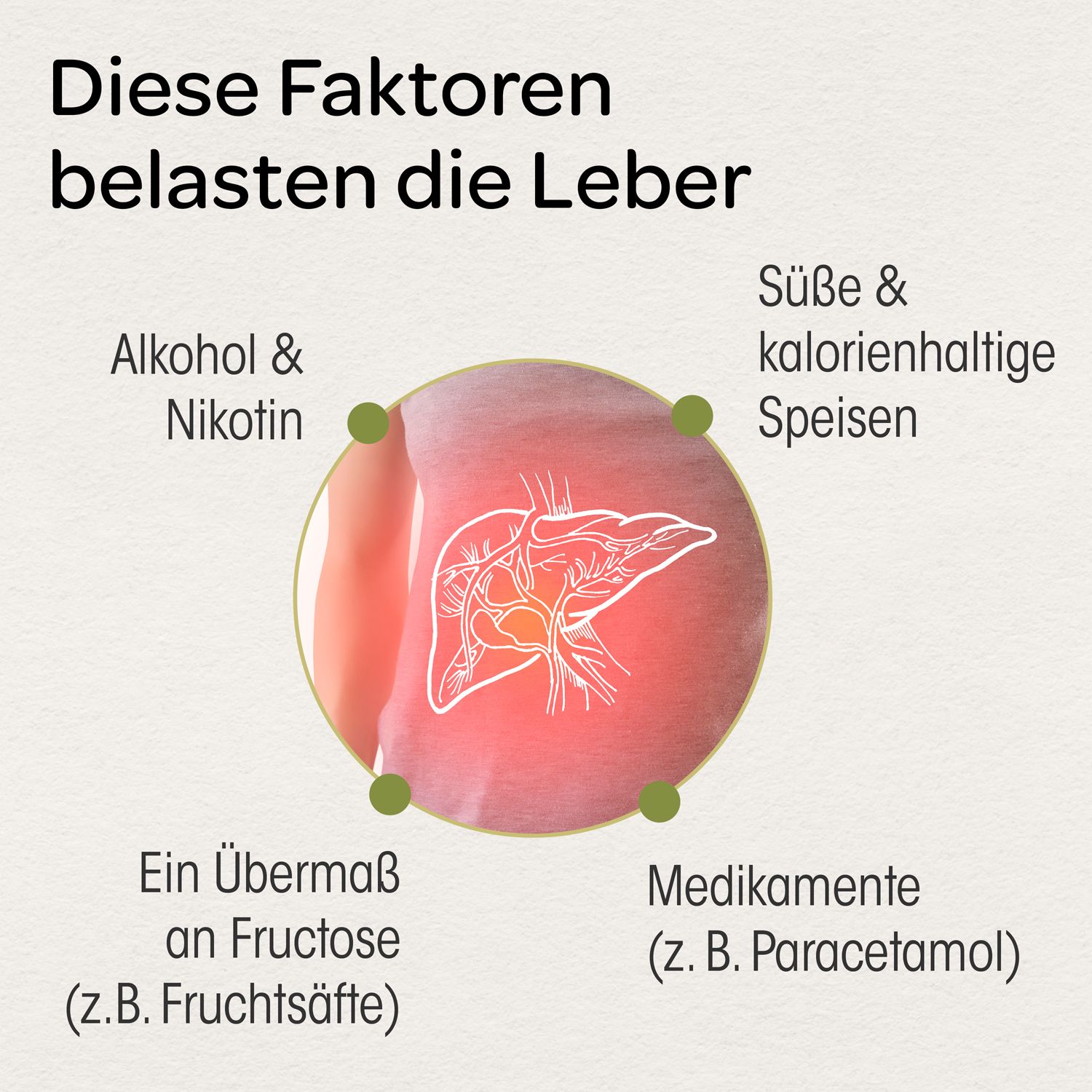 Grafik eines menschlichen Organs, umgeben von Text: Alkohol & Nikotin, Süße & kalorienhaltige Speisen, Ein Übermaß an Fructose, Medikamente.
