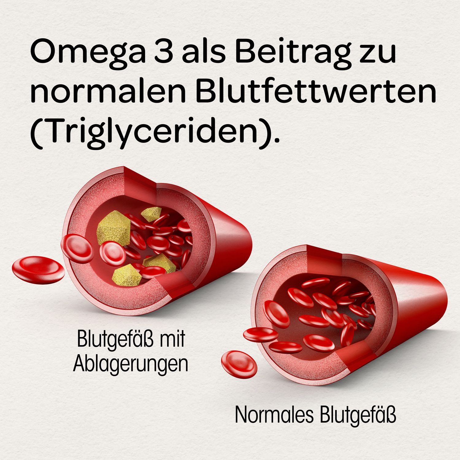 Illustration: Blutgefäß mit Ablagerungen und normales Blutgefäß. Text: Omega 3 als Beitrag zu normalen Blutfettwerten (Triglyceriden).