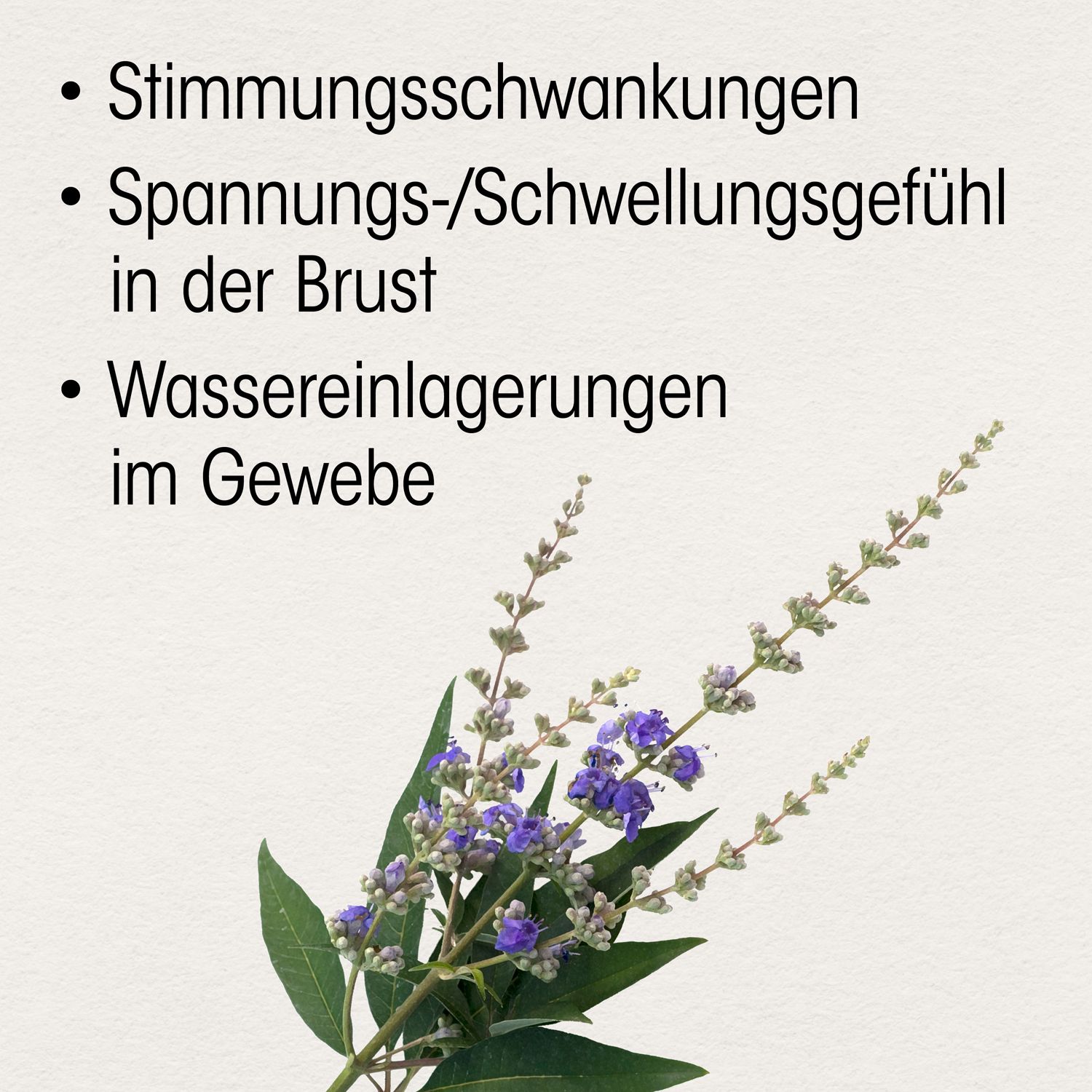 Abbildung von Blütenzweigen. Text: Stimmungsschwankungen, Spannungs-/Schwellungsgefühl in der Brust, Wassereinlagerungen im Gewebe.