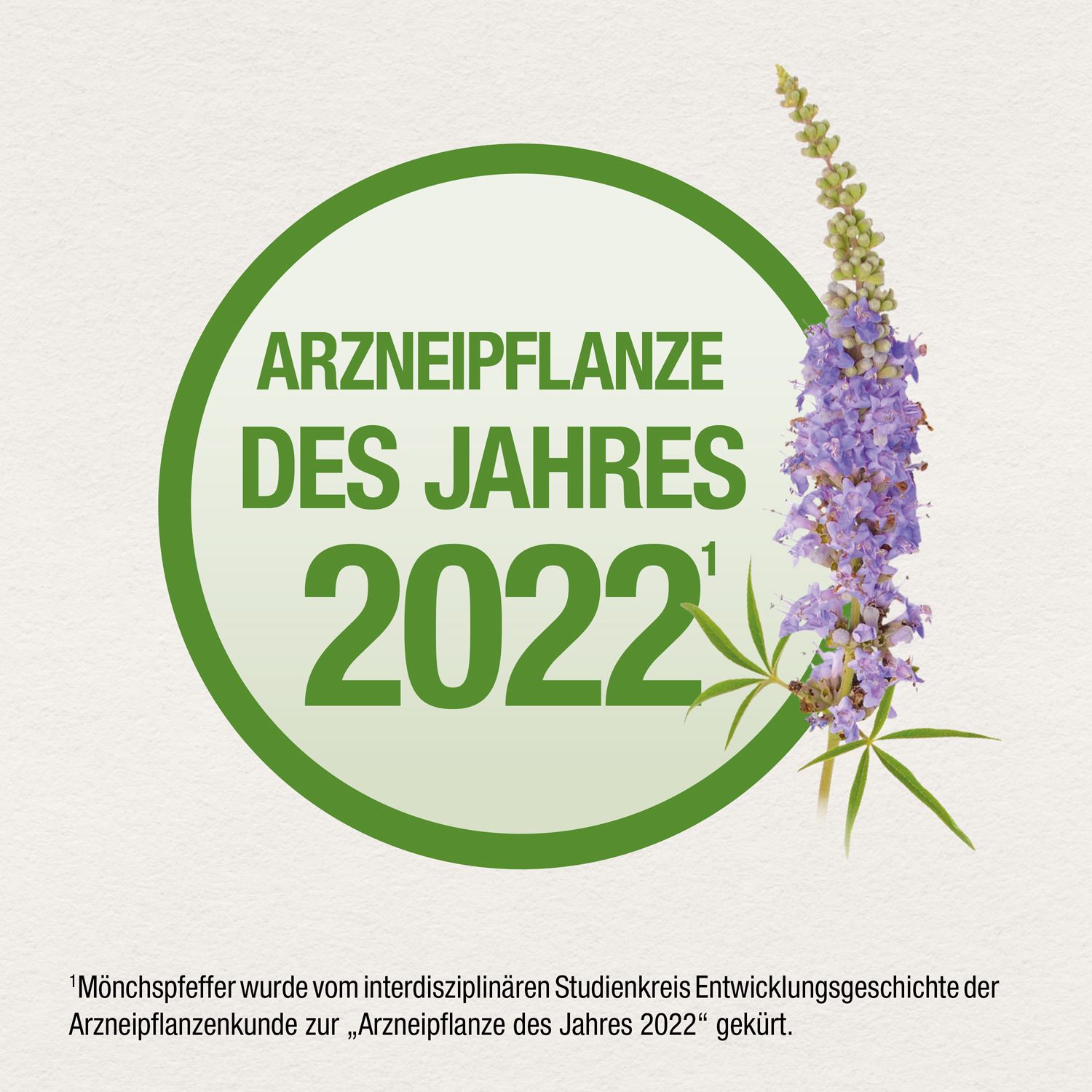 Auszeichnung 'Arzneipflanze des Jahres 2022' in grünem Kreis. Abbildung von Blütenzweig. Text: Mönchspfeffer wurde zur 'Arzneipflanze des Jahres 2022' gekürt.