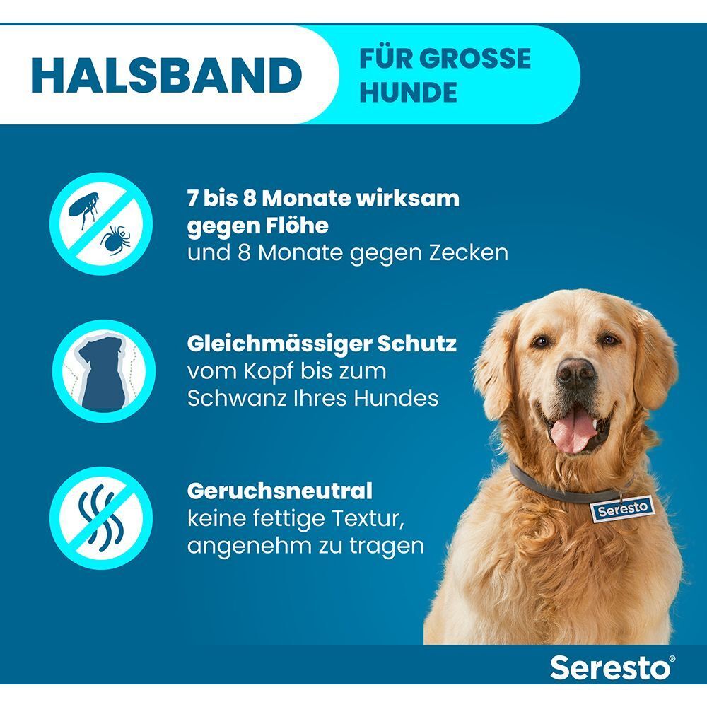 Blauer Hintergrund mit Text und Hund. Halsband für große Hunde. Wirksam gegen Flöhe und Zecken. Geruchsneutral.