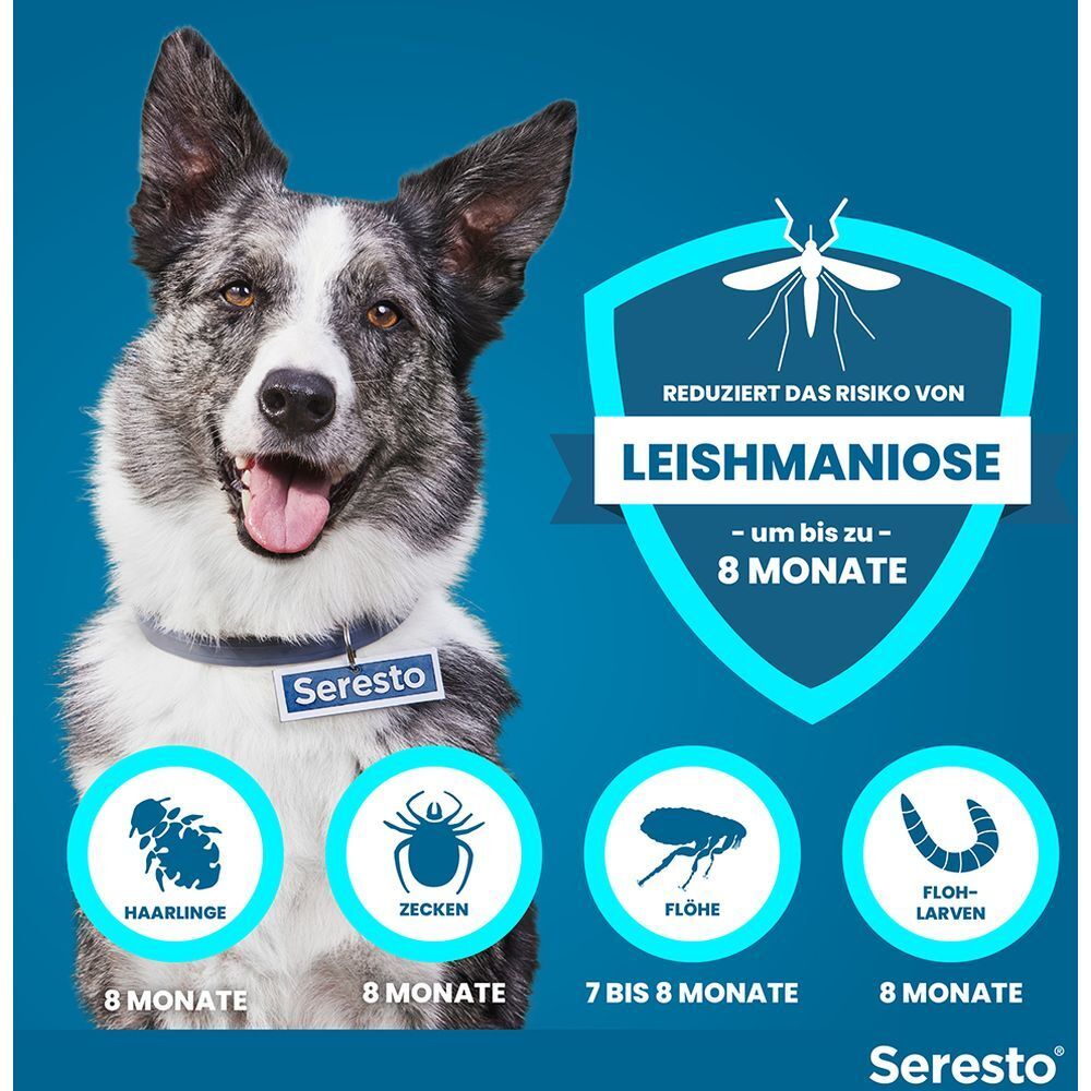 Blauer Hintergrund mit Hund und Icons. Reduziert das Risiko von Leishmaniose. Wirksam gegen Haarlinge, Zecken, Flöhe, Flohlarven.
