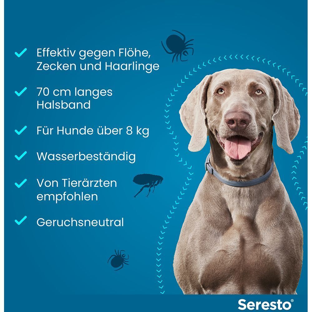Blauer Hintergrund mit Hund und Text. Wirksam gegen Flöhe, Zecken und Haarlinge. 70 cm Halsband. Wasserbeständig.
