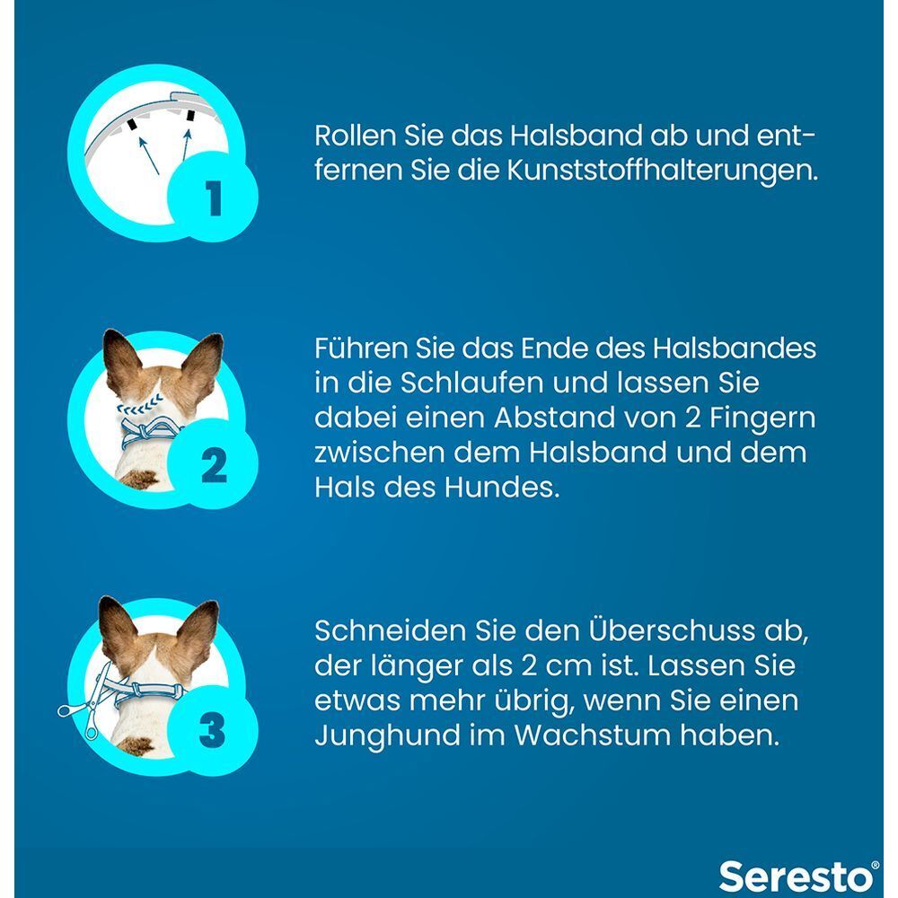 Anleitung zur Anwendung des Halsbands. Drei Schritte mit Illustrationen. Hund mit Halsband.