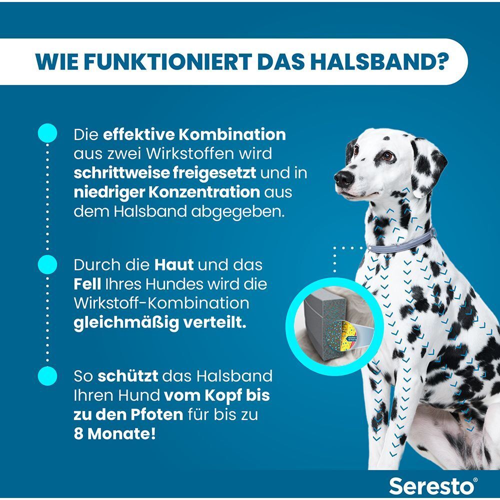 Wie das Halsband funktioniert. Illustration mit Hund. Wirkstoffe werden freigesetzt. Schutz bis zu 8 Monate.