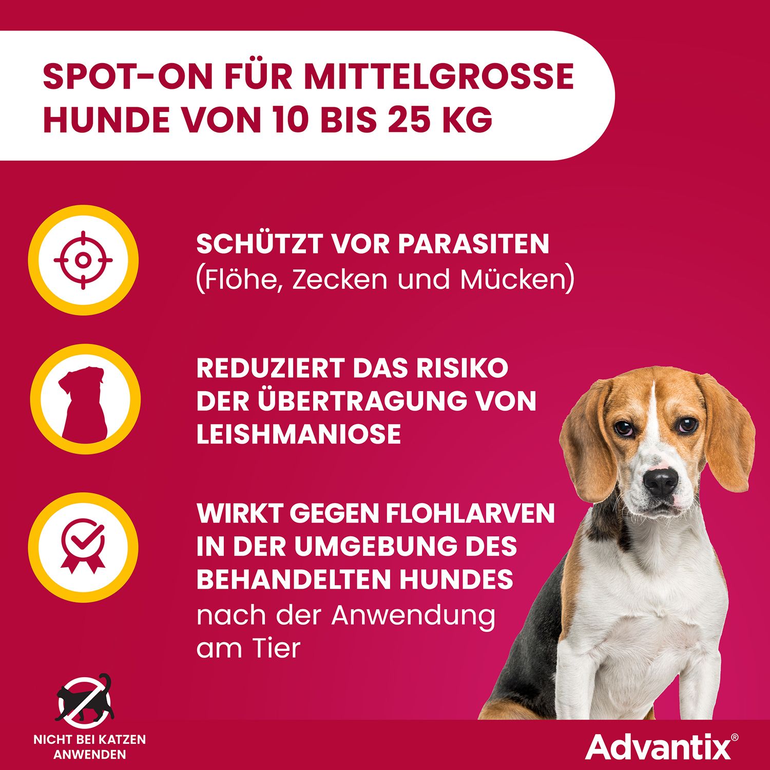 Infografik: Schützt vor Parasiten, reduziert Leishmaniose-Risiko, wirkt gegen Flohlarven. Advantix®-Logo.