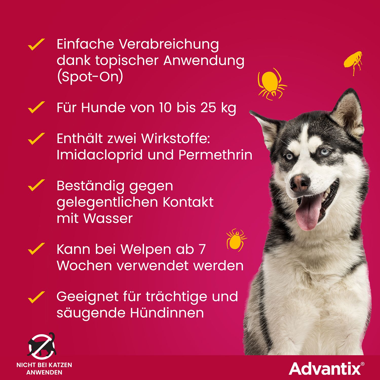 Infografik: Einfache Anwendung, für Hunde 10-25 kg, enthält Wirkstoffe. Husky-Hund. Advantix®-Logo. Nicht für Katzen.