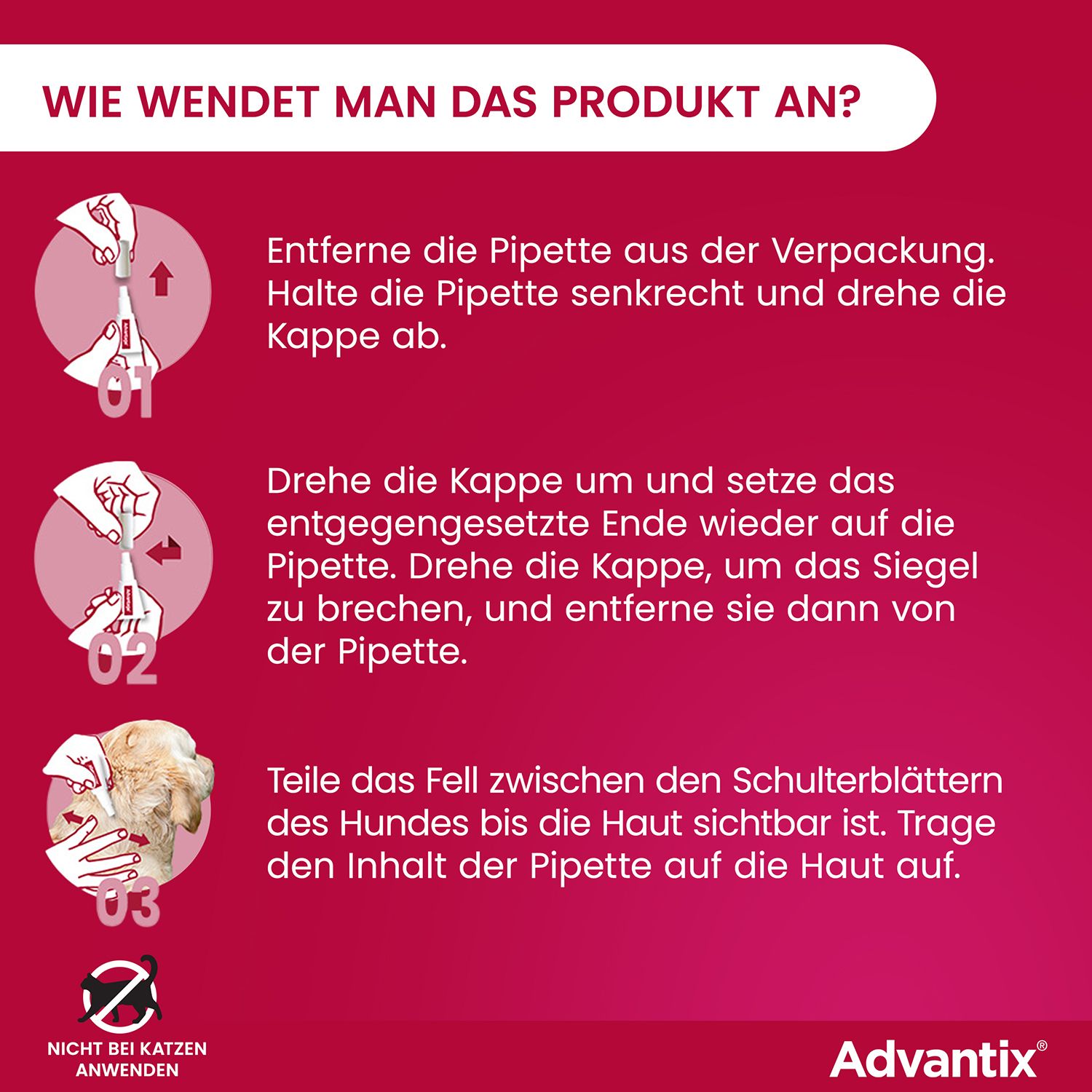 Anwendungsschritte: Pipette aus Verpackung, Kappe drehen, Inhalt auf Haut auftragen. Advantix®-Logo. Nicht für Katzen.