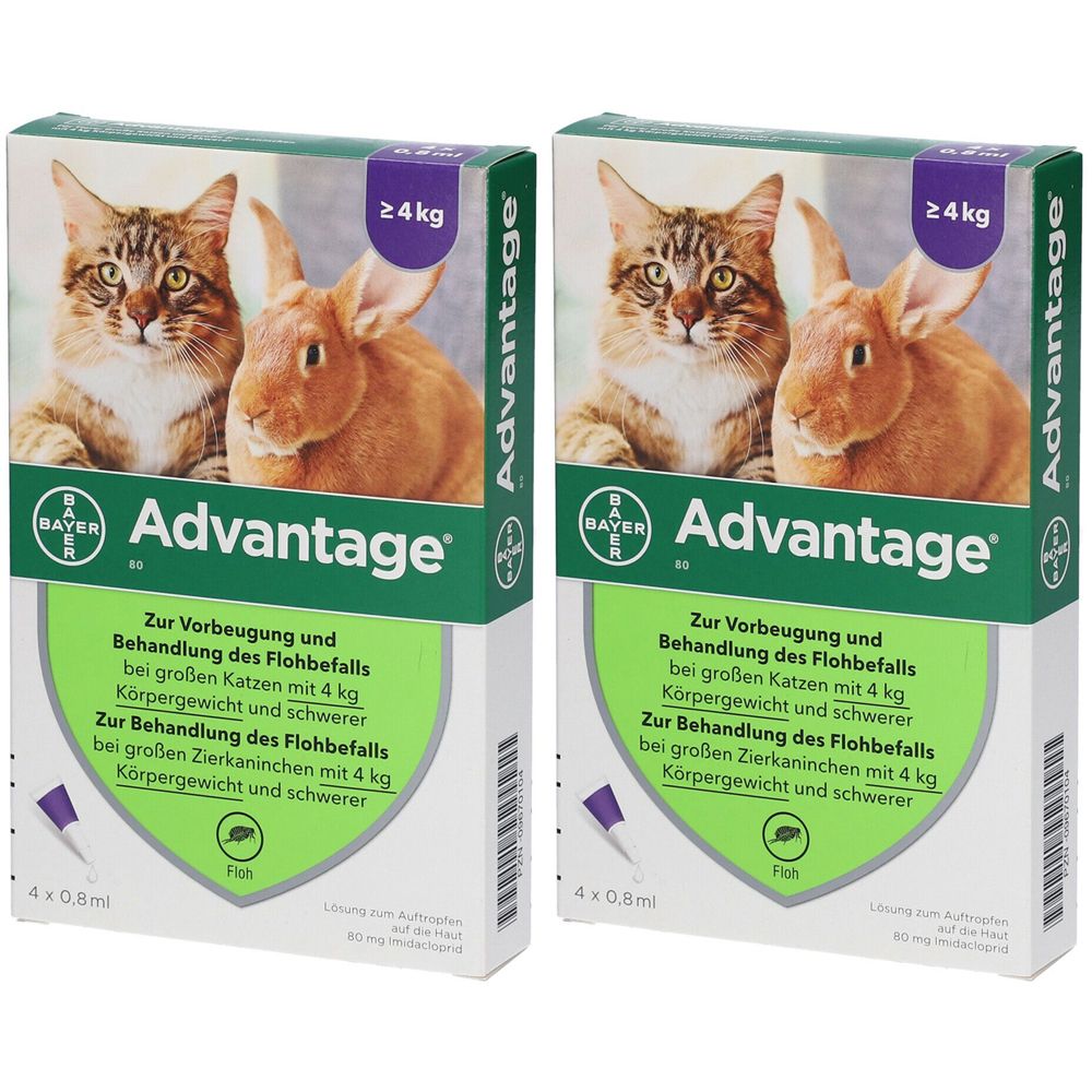 advantage® für große Katzen über 4 kg