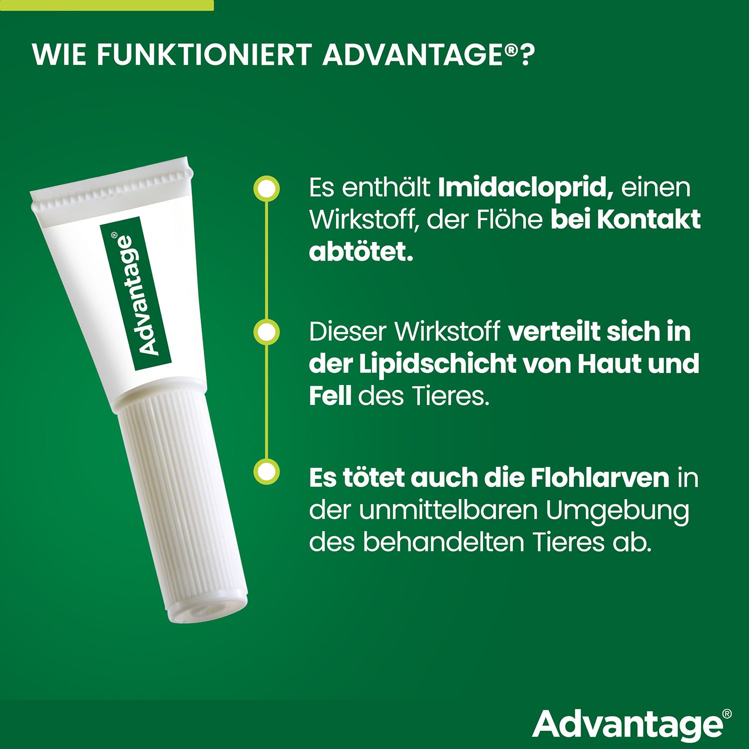Advantage®-Tube. Weiß mit grünem Logo. Zeigt Wirkstoff Imidacloprid, der Flöhe abtötet.