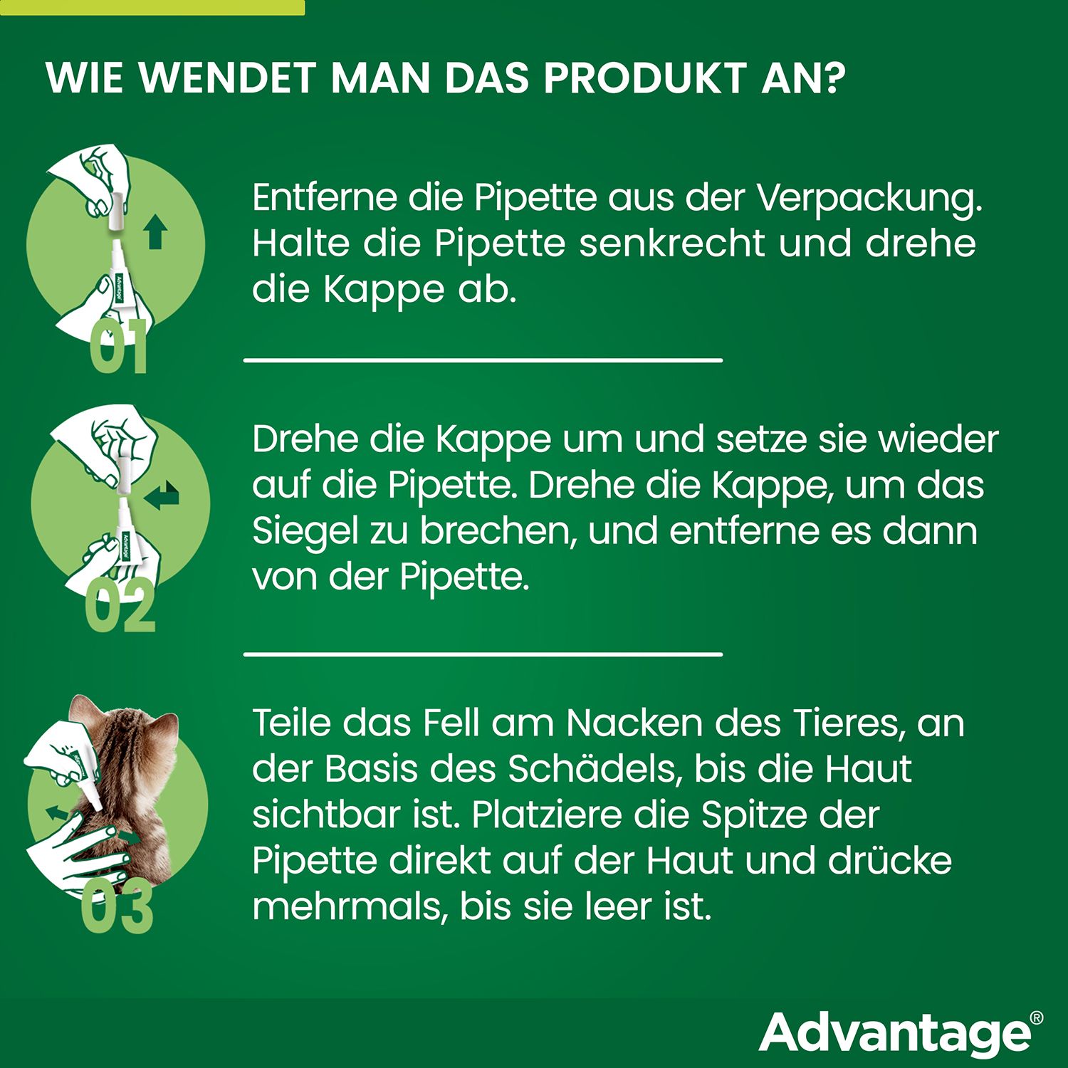 Anleitung zur Anwendung von Advantage®. Schritte 1-3 zur Applikation auf dem Tier.
