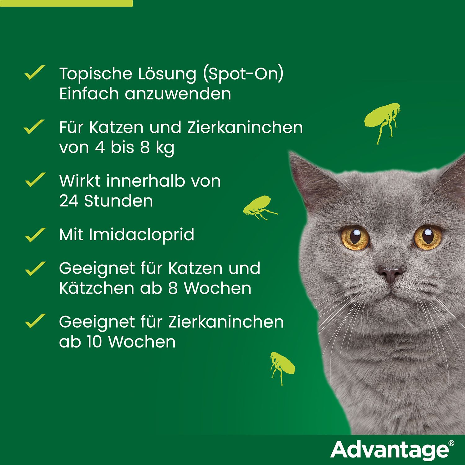 Katze mit grünen Häkchen. Zeigt Vorteile von Advantage®: Spot-on, für Katzen und Kaninchen, wirkt schnell.
