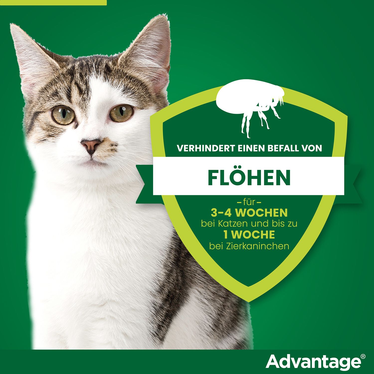 Katze mit grünem Schild. Zeigt Schutz vor Flöhen für 3-4 Wochen bei Katzen und 1 Woche bei Kaninchen.