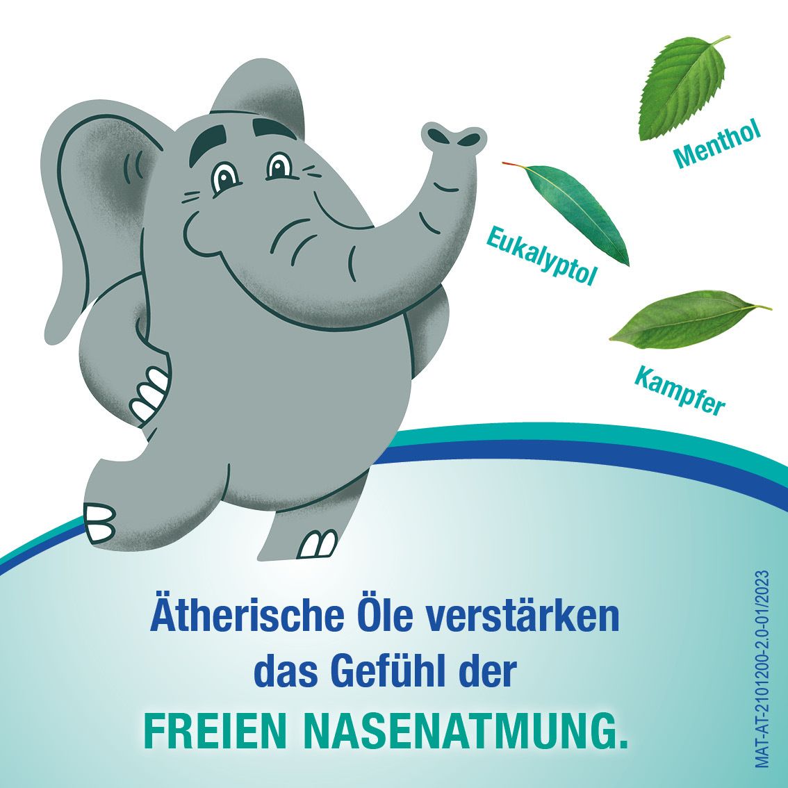 Grauer Elefant mit Blättern von Eukalyptol, Menthol und Kampfer. Text: Ätherische Öle verstärken das Gefühl der FREIEN NASENATEMUNG.