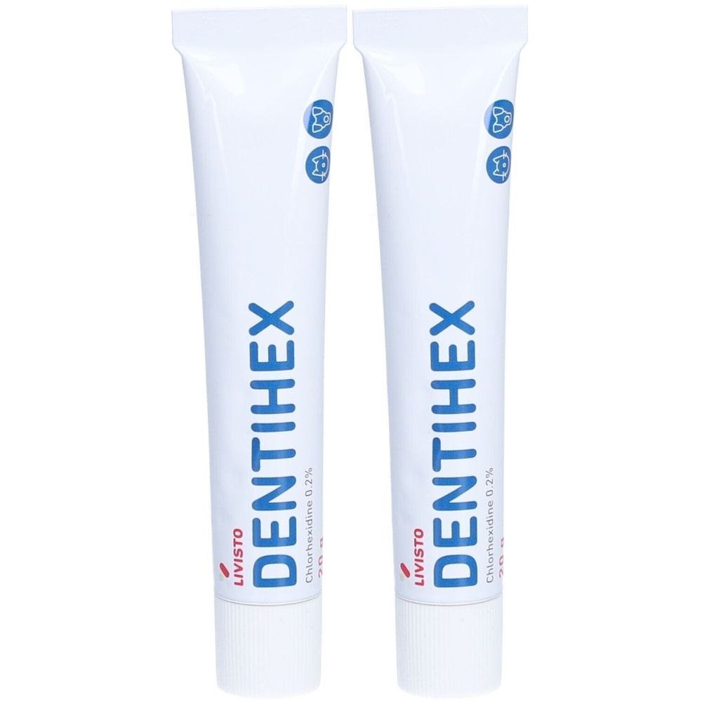 Dentihex Dent Hu/Ka PST x2 2x20 g Zahnpasta