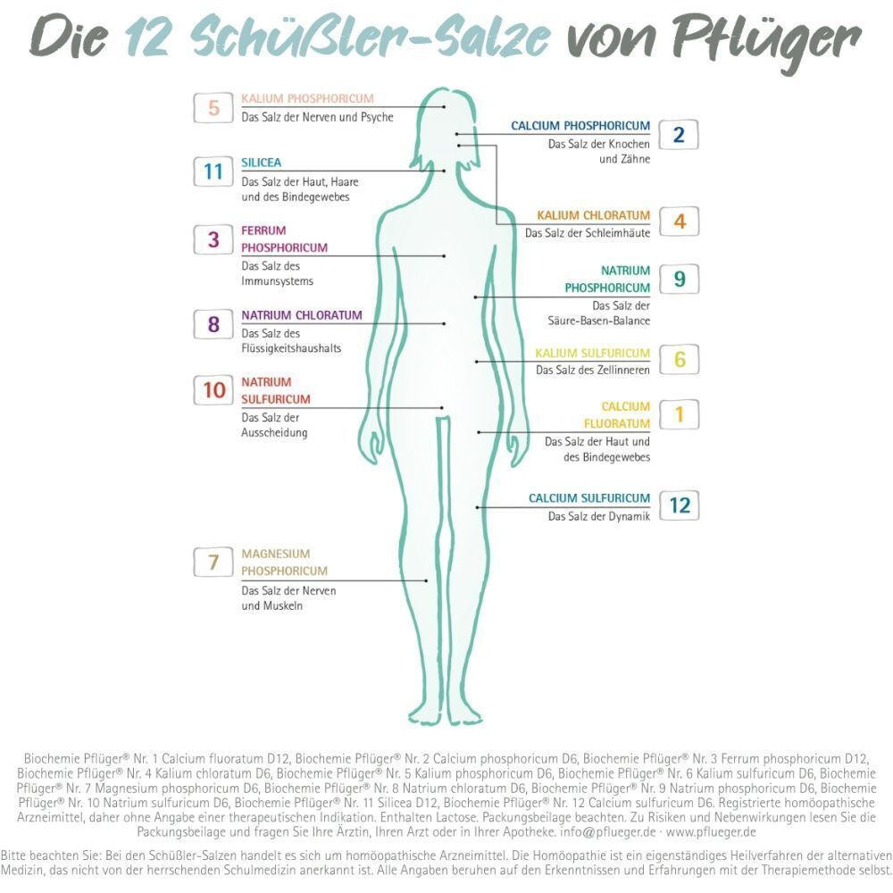 Grafik: Darstellung des menschlichen Körpers mit den 12 Schüssler-Salzen von Pflüger. Jedes Salz ist einer Körperregion zugeordnet.