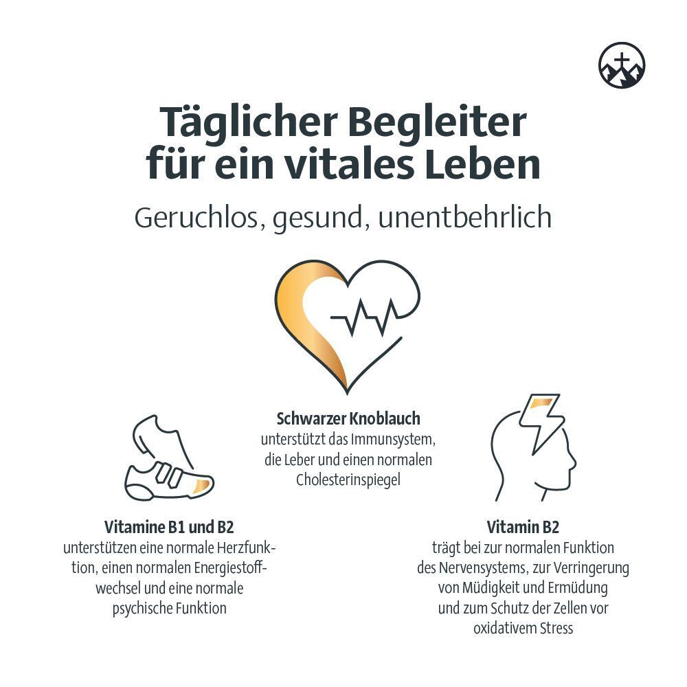 Infografik mit Icons und Text. Schwarzer Knoblauch unterstützt Immunsystem, Leber und Cholesterinwerte.