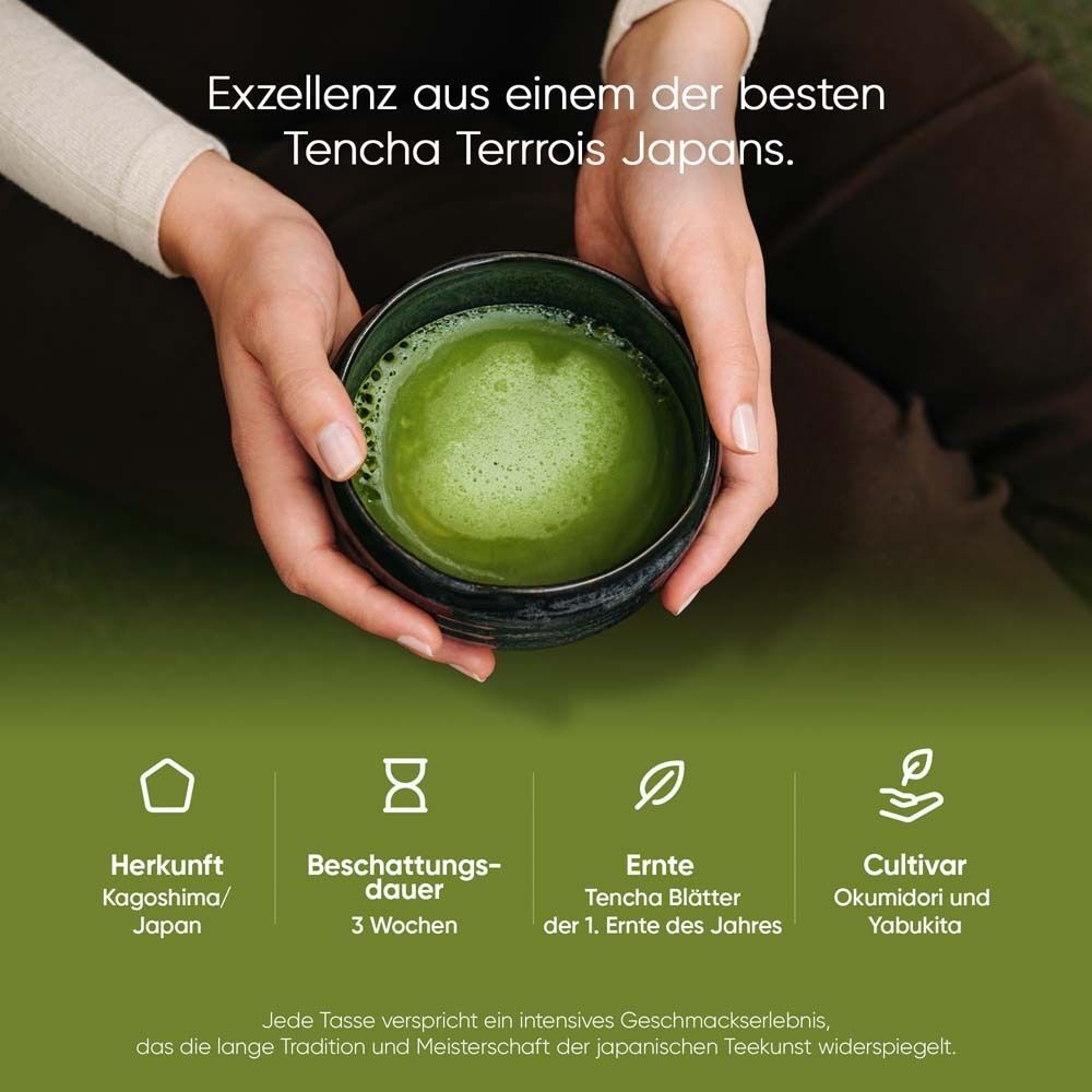 Hände halten eine Schale mit zubereitetem KAIZEN® ICHIBAN Bio-Matcha Tee.