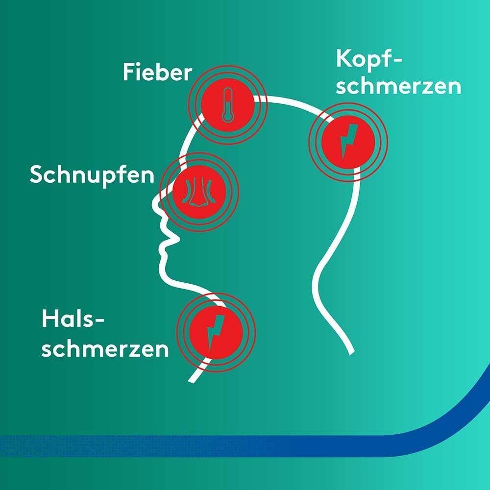 Kopfprofil mit Symptomen: Fieber, Kopfschmerzen, Schnupfen, Halsschmerzen. Veranschaulicht Erkältungsbeschwerden.