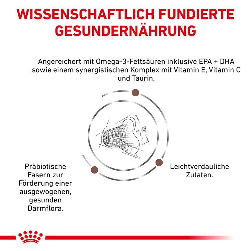 ROYAL CANIN® GASTROINTESTINAL FIBRE RESPONSE Trockennahrung für Katzen