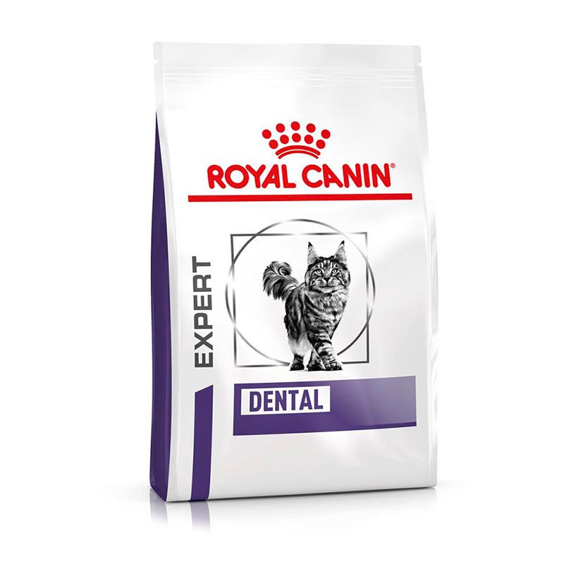 ROYAL CANIN® EXPERT DENTAL Trockennahrung für Katzen
