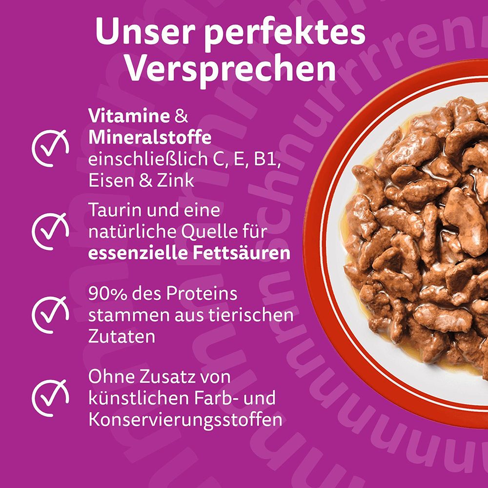 Katzenfutter in einer Schale mit Soße, daneben eine Katze und Icons, die gesundes Fell, Immunsystem, Muskeln und Verdauung hervorheben.