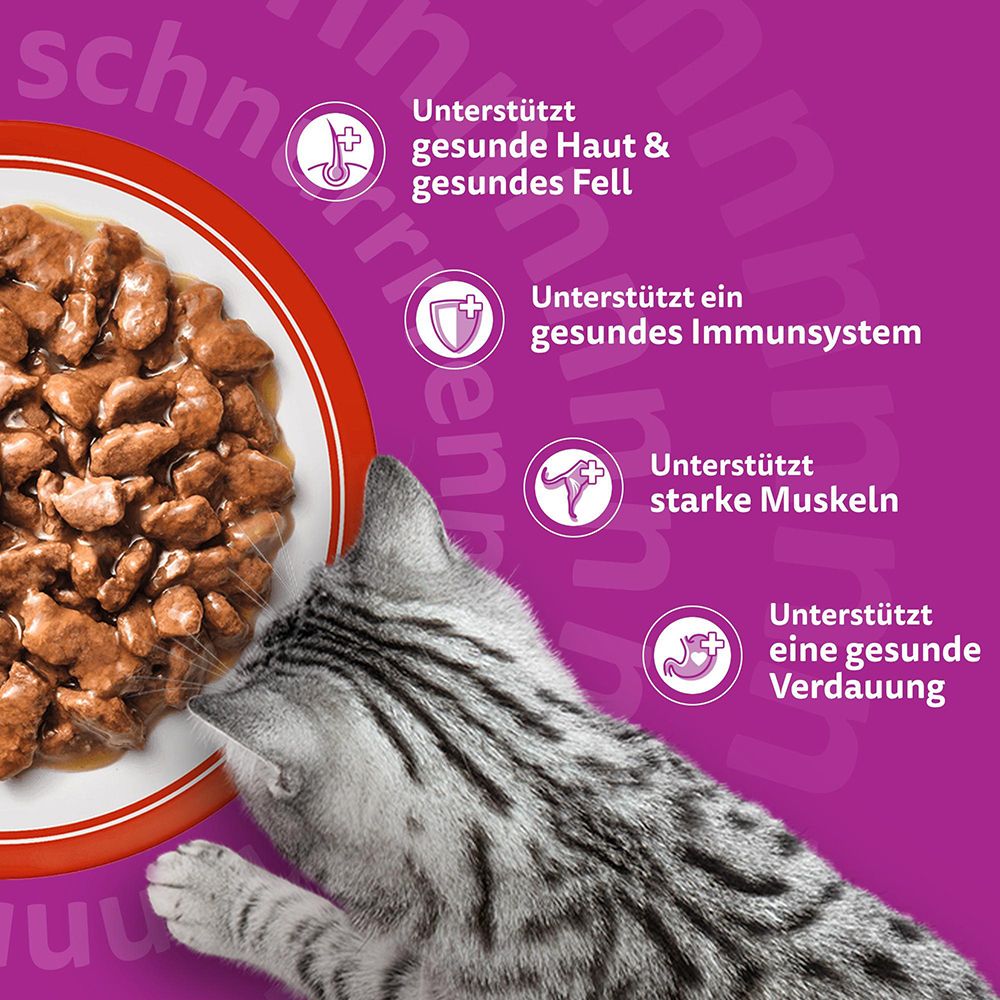 Katzenfutter in einer Schale mit Soße, daneben eine Katze und Icons, die gesundes Fell, Immunsystem, Muskeln und Verdauung hervorheben.