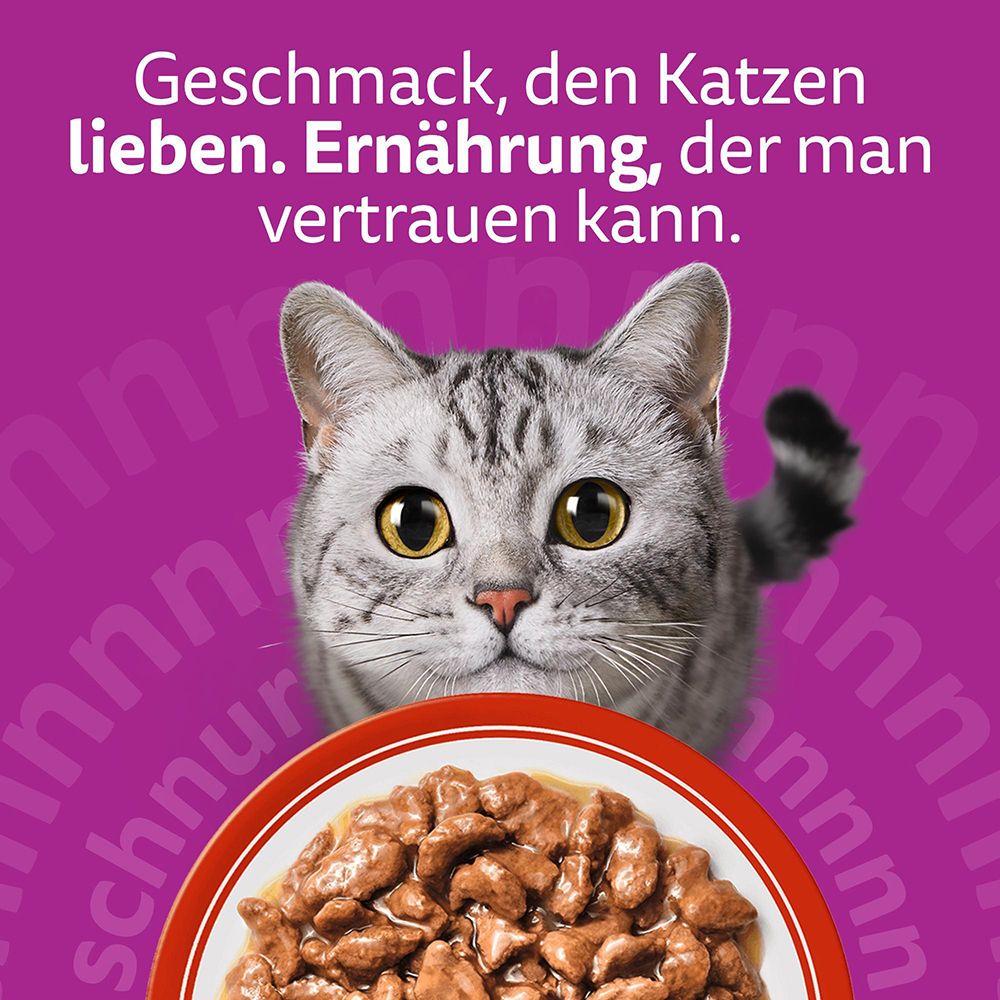 Katzenfutter in einer Schale mit Soße, daneben eine Katze und Icons, die gesundes Fell, Immunsystem, Muskeln und Verdauung hervorheben.