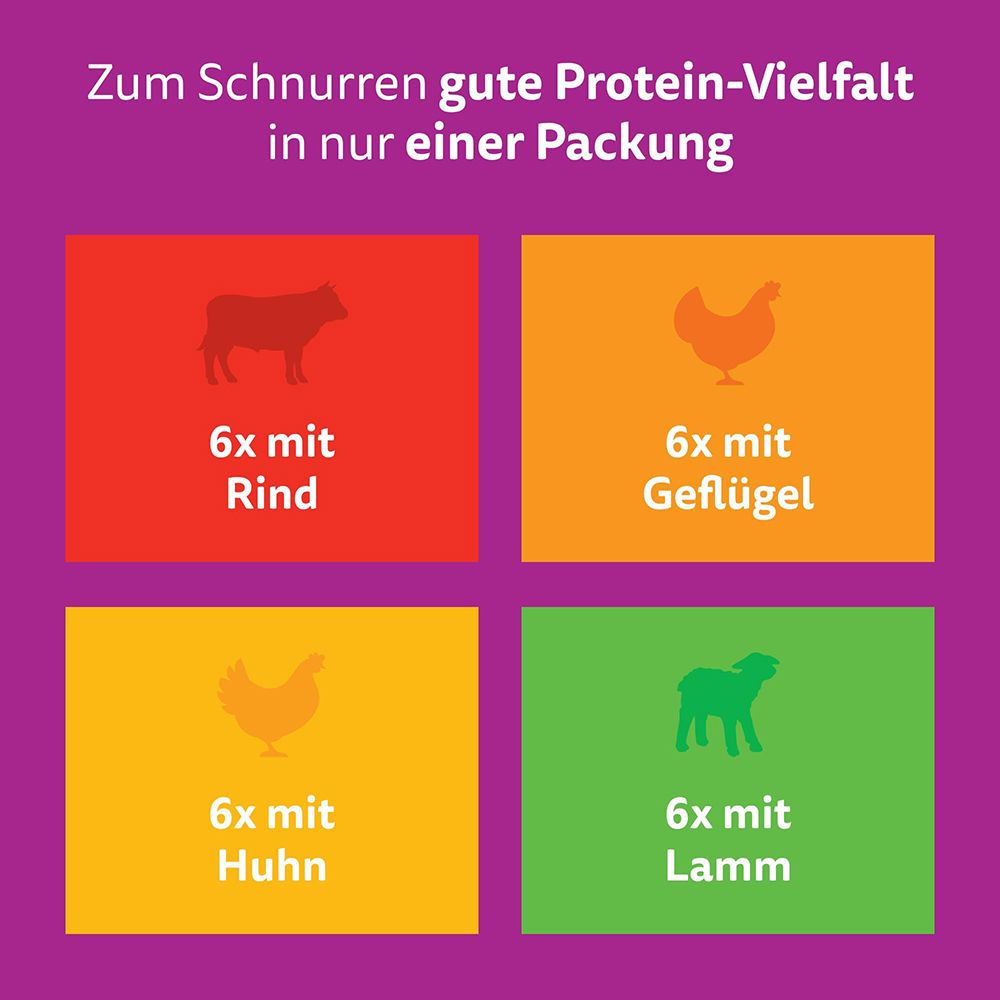 Katzenfutter in einer Schale mit Soße, daneben eine Katze und Icons, die gesundes Fell, Immunsystem, Muskeln und Verdauung hervorheben.