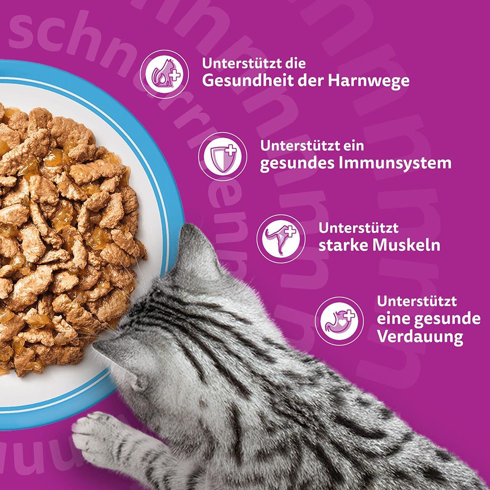 Whiskas Senior Katzennassfutter, 40x85g Beutel, Fisch Auswahl.