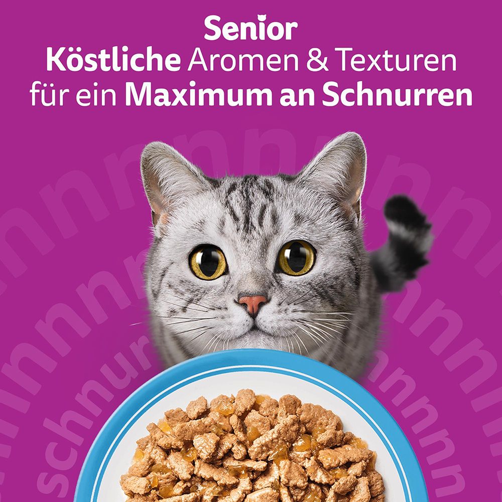 Whiskas Senior Katzennassfutter, 40x85g Beutel, Fisch Auswahl.
