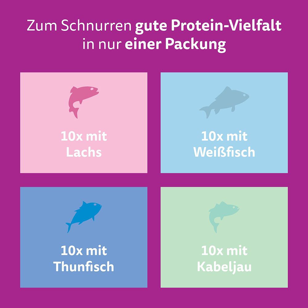 Whiskas Katzenfutter: Proteine-Vielfalt in einer Packung mit Fischmotiven.