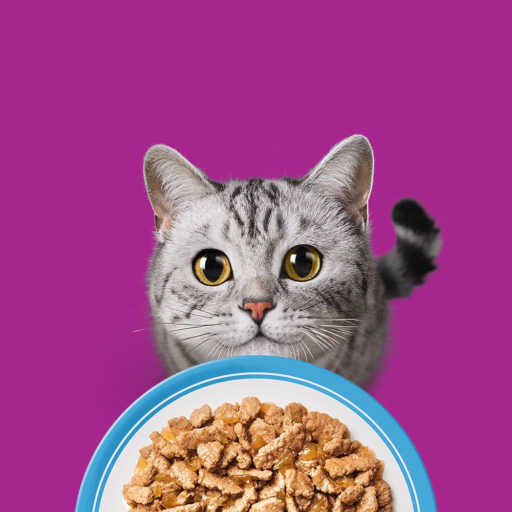 Whiskas Katzenfutter Dose mit Geflügel in Terrine und einem Katzenbild.