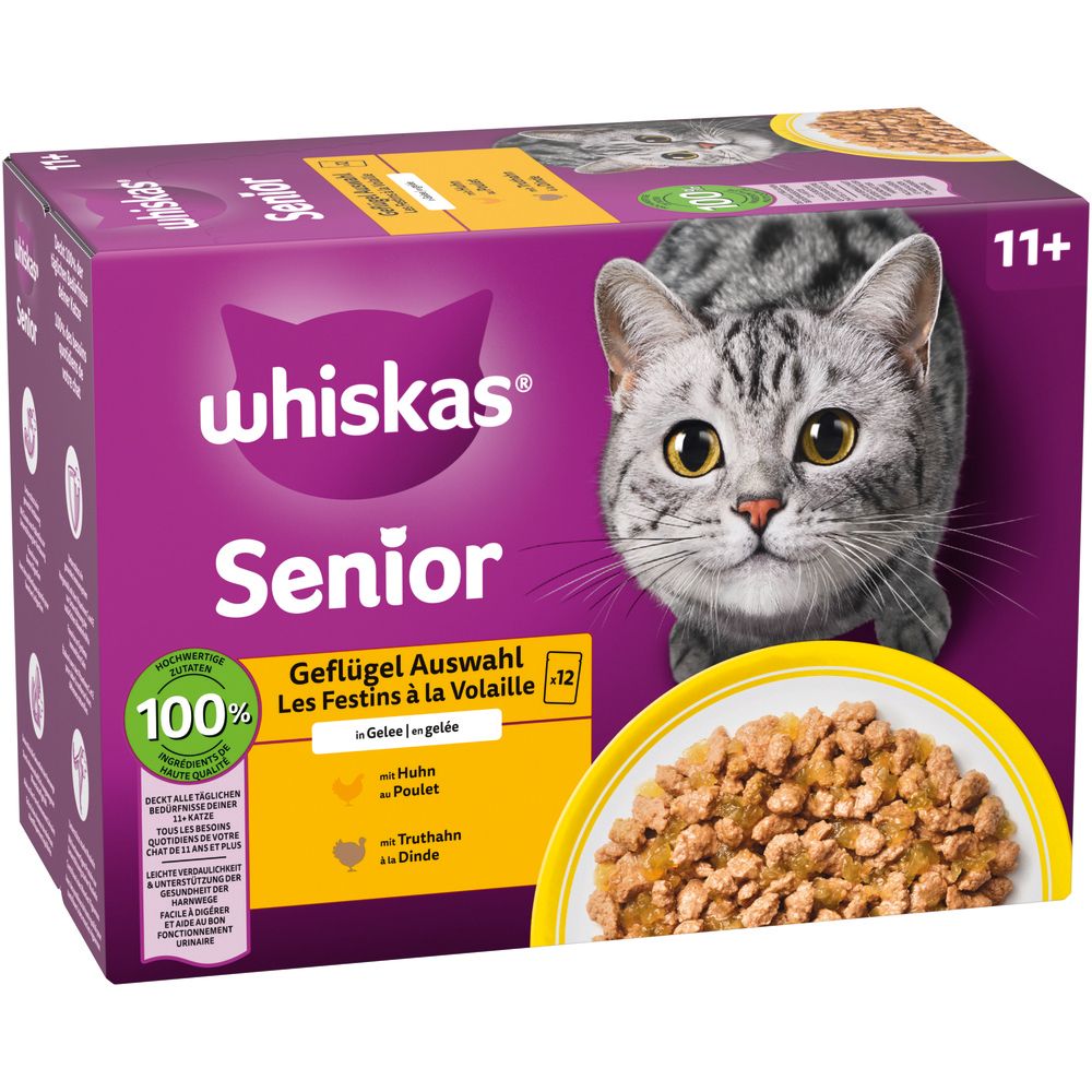 Katze blickt über eine Schüssel mit Trockenfutter.