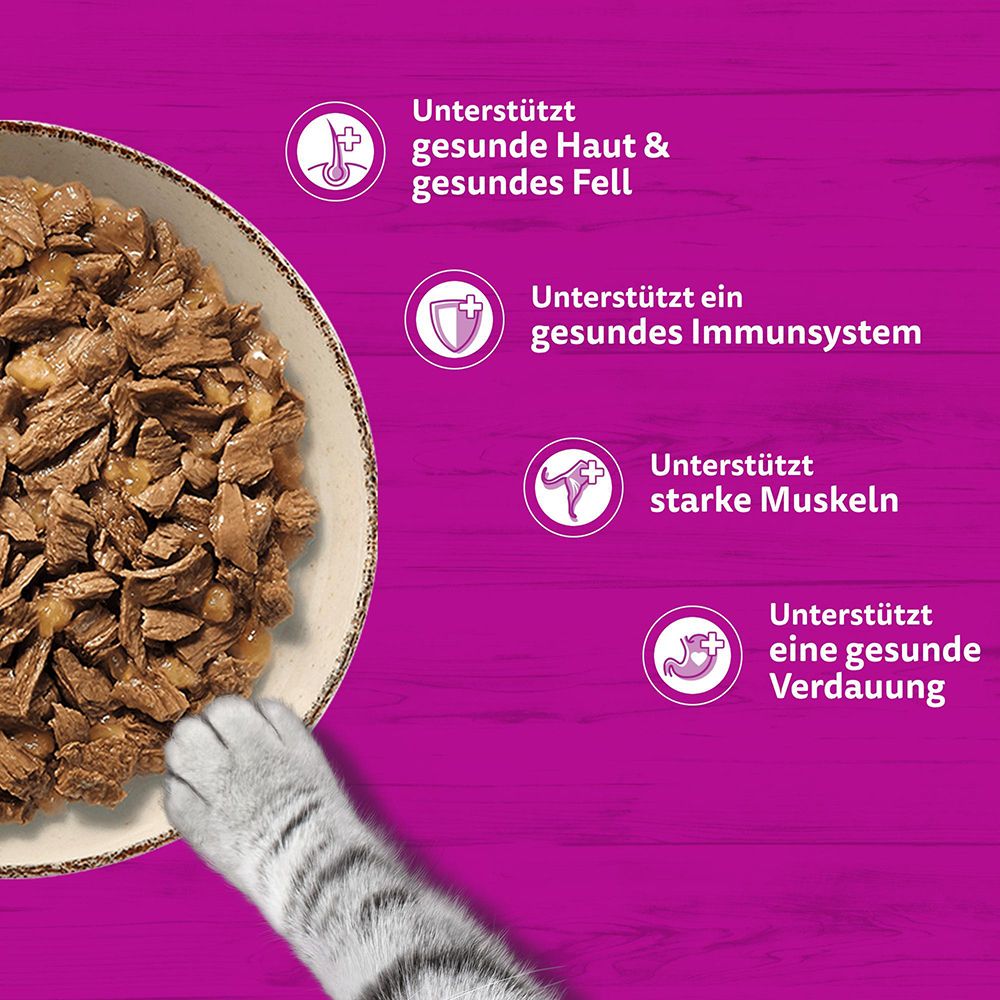 Katzenfutter unterstützt gesunde Haut, Fell, Immunsystem, starke Muskeln und Verdauung.