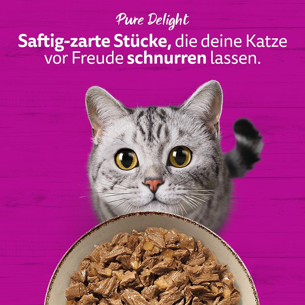 Vier Sorten Katzenfutter: Rind, Lachs, Huhn, Thunfisch.