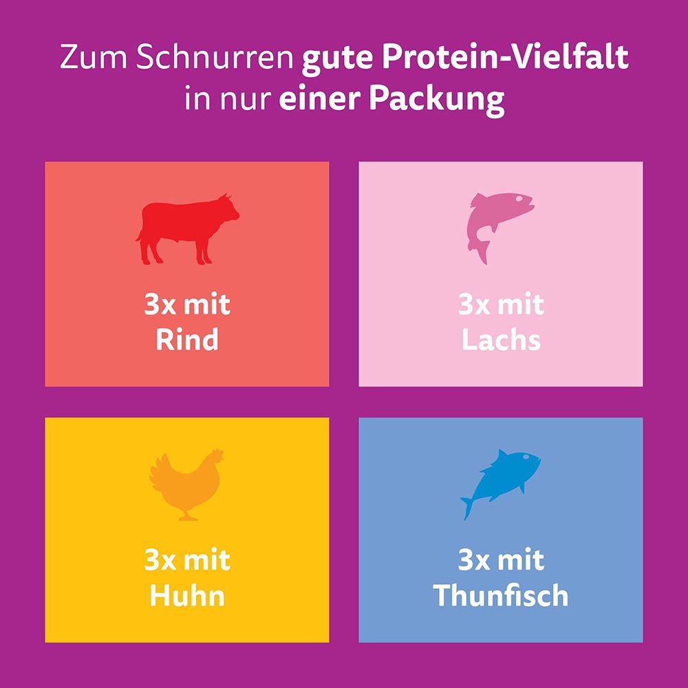 Vier farbige Quadrate mit Silhouetten von Tieren und Text. Rind, Lachs, Huhn, Thunfisch.