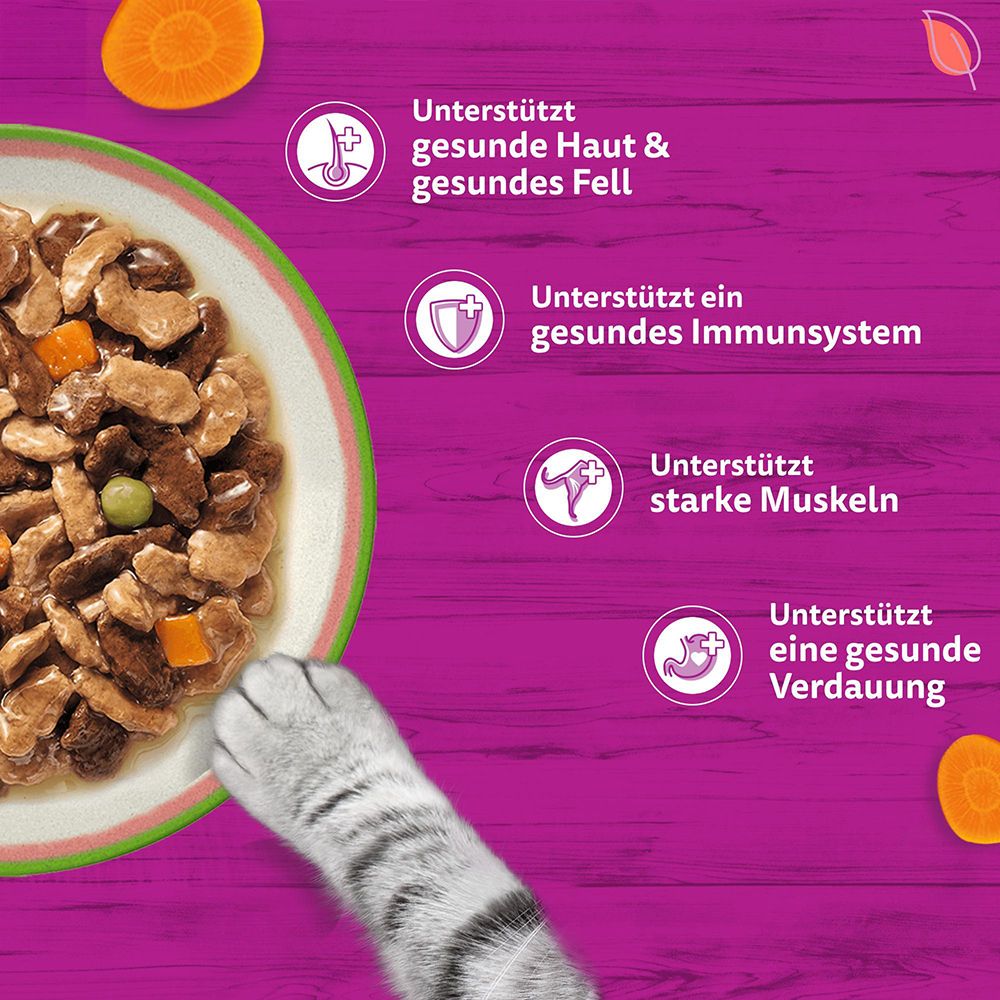 Katzennassfutter: Unterstützt gesunde Haut, Fell, Immunsystem, Muskeln und Verdauung.
