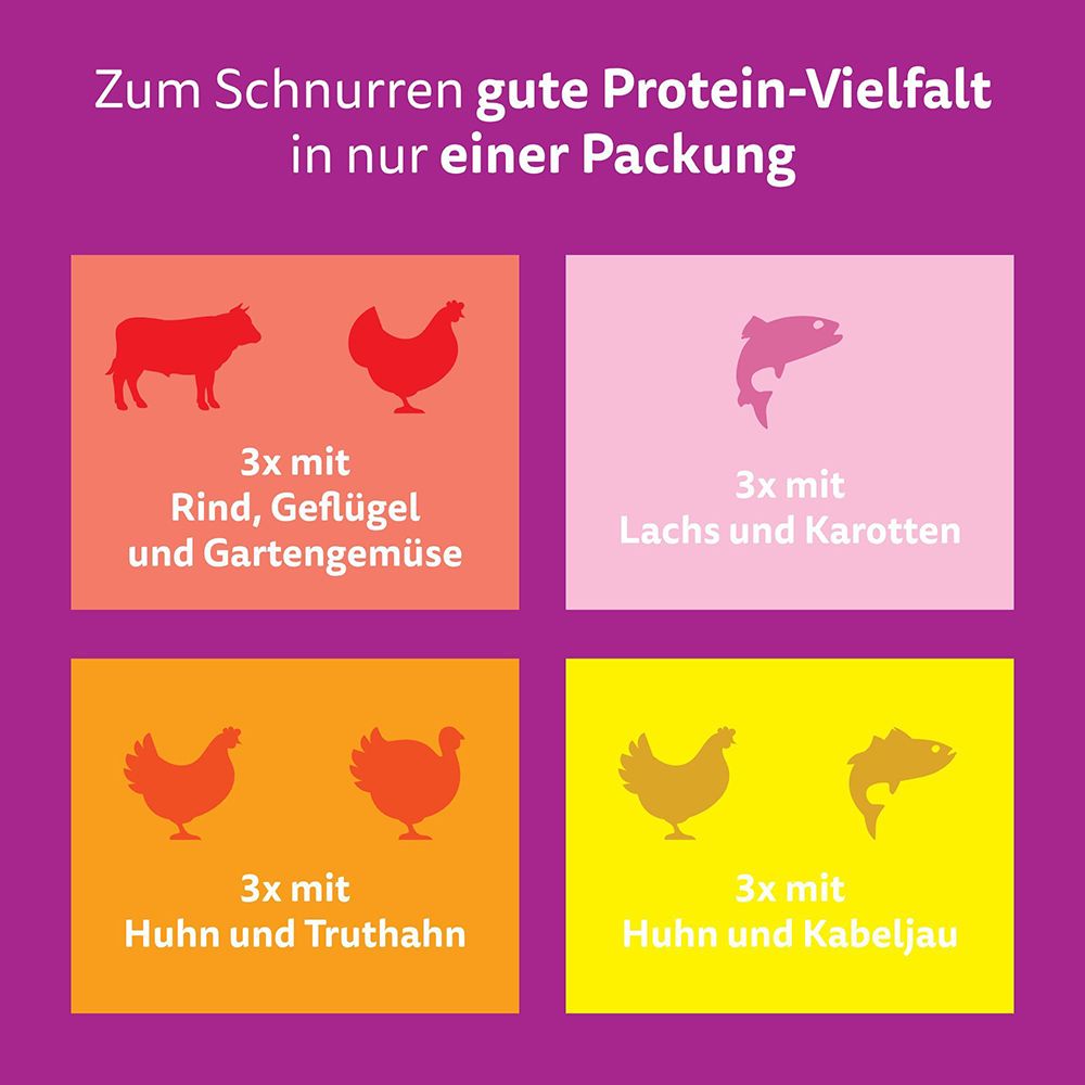 Katzennassfutter: Unterstützt gesunde Haut, Fell, Immunsystem, Muskeln und Verdauung.