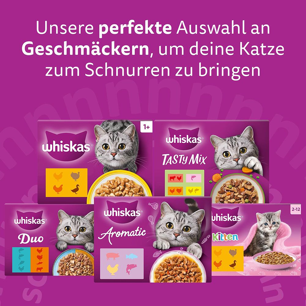 Whiskas Katzenfutter Auswahl an Geschmacksrichtungen mit Katzenbildern.