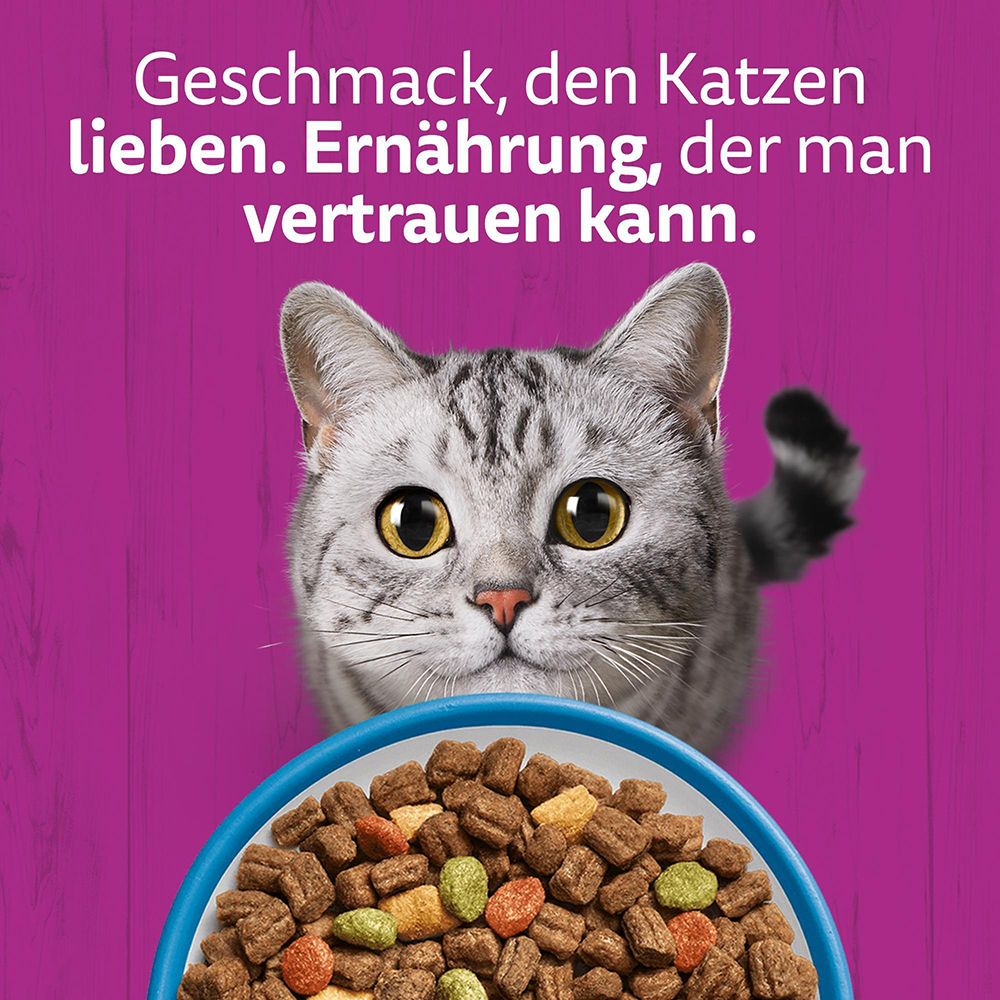 Whiskas Senior Katzennahrung: 12x Geflügel in Gelee.