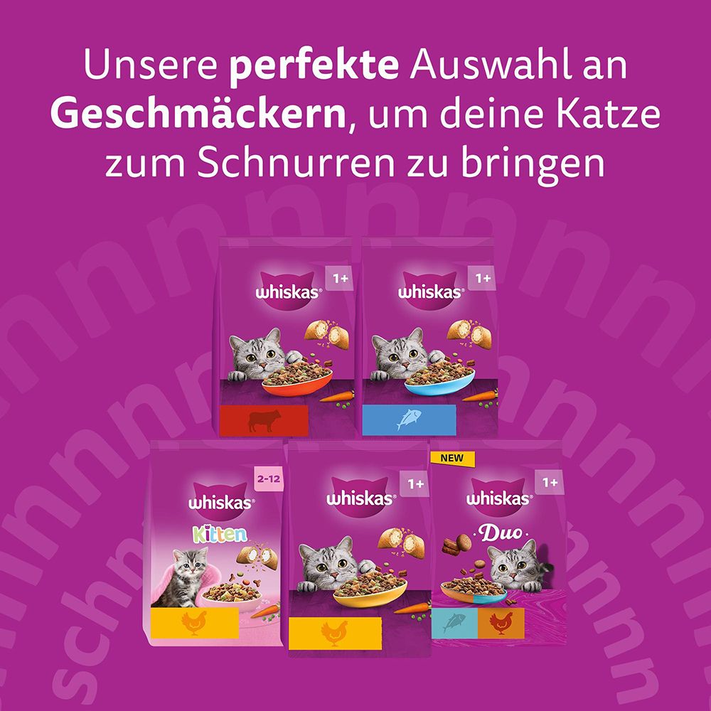 Whiskas Katzennahrung: Verschiedene Geschmacksrichtungen für Katzen.