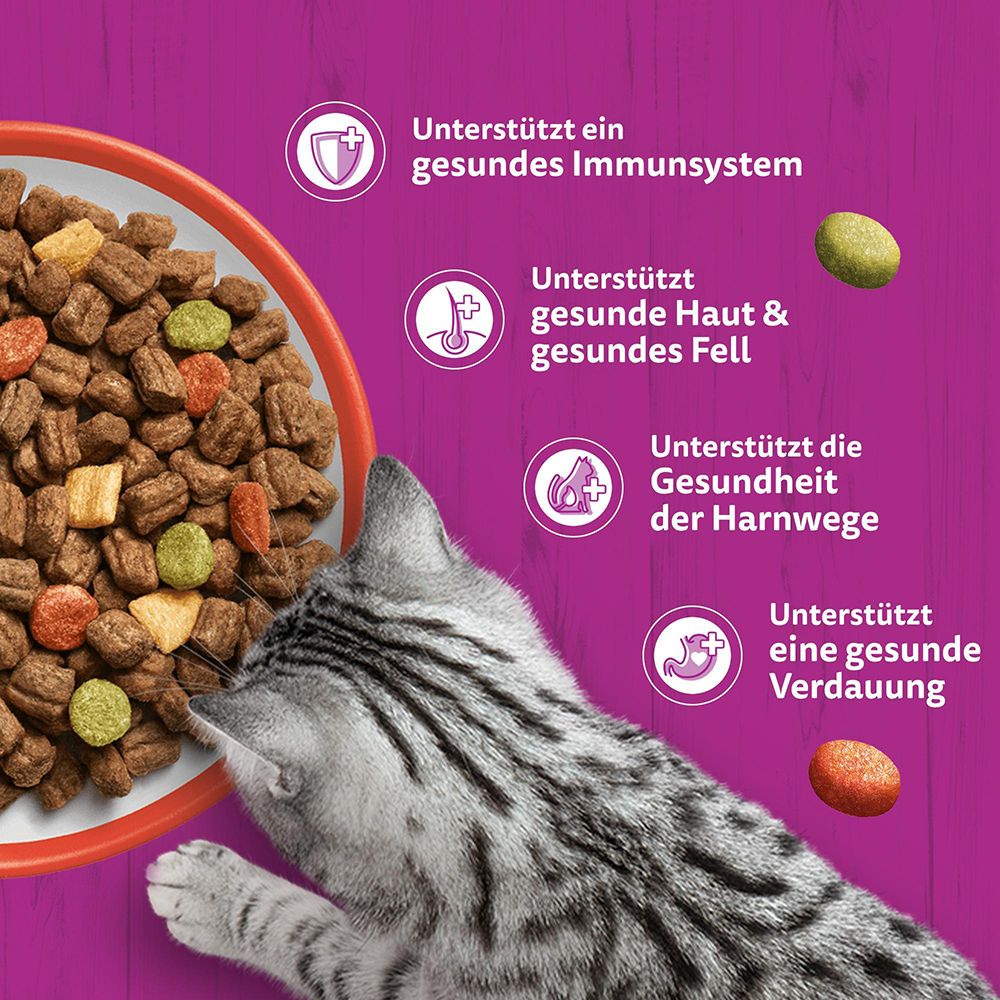 Whiskas Katzenfutter: Trockenfutter mit Rind und Geflügel, 3.8 kg.